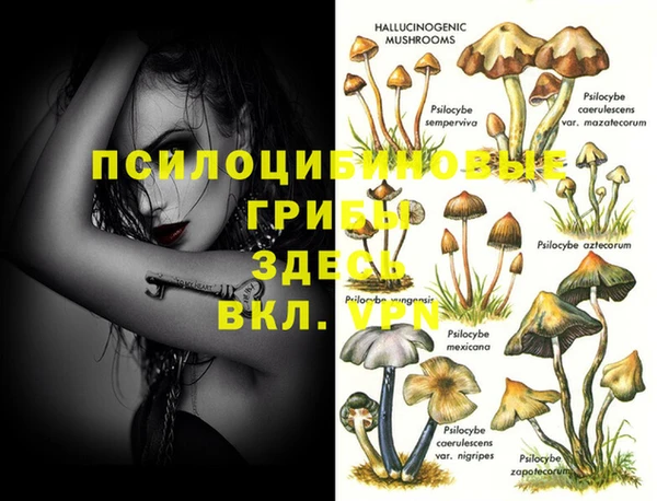 сатива Абдулино