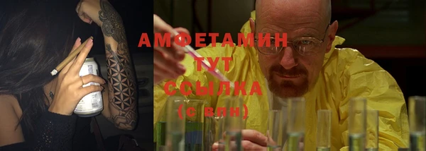 ПСИЛОЦИБИНОВЫЕ ГРИБЫ Абаза