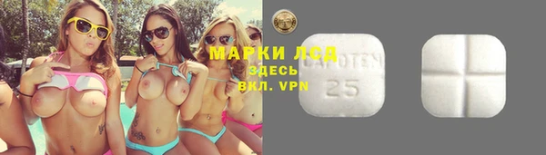 гашик Алексеевка