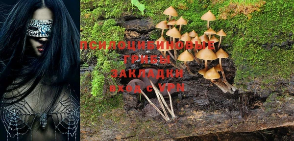 сатива Абдулино