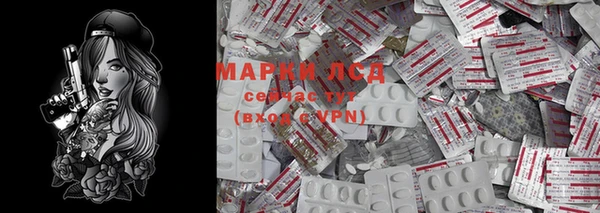ПСИЛОЦИБИНОВЫЕ ГРИБЫ Абаза
