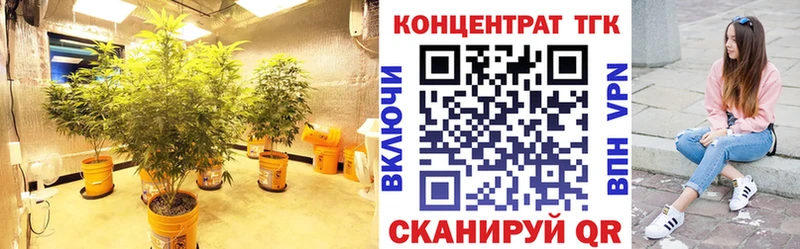 ТГК Wax Чекалин