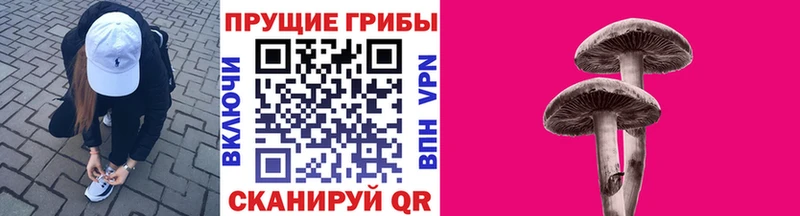 наркошоп  Чекалин  Псилоцибиновые грибы Magic Shrooms 